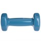 Гантелі для фітнесу 1шт 1кг Zelart 2777-1-LIGHT-BLUE блакитний