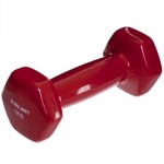 Гантелі для фітнесу 1шт 1кг Zelart 2777-1-RED червоний