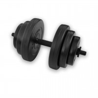 Гантели розборные 18 кг с покрытием ABS RN-sport RN06309