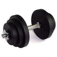Гантели наборные 21.5 кг черный Champion Ch00393-21.5