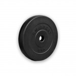 Диски для гантелей та штанги 5 кг 31 мм RN-Sport RN06422